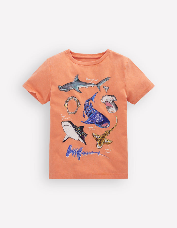 Educational T-shirt-ORANGE SHARKS