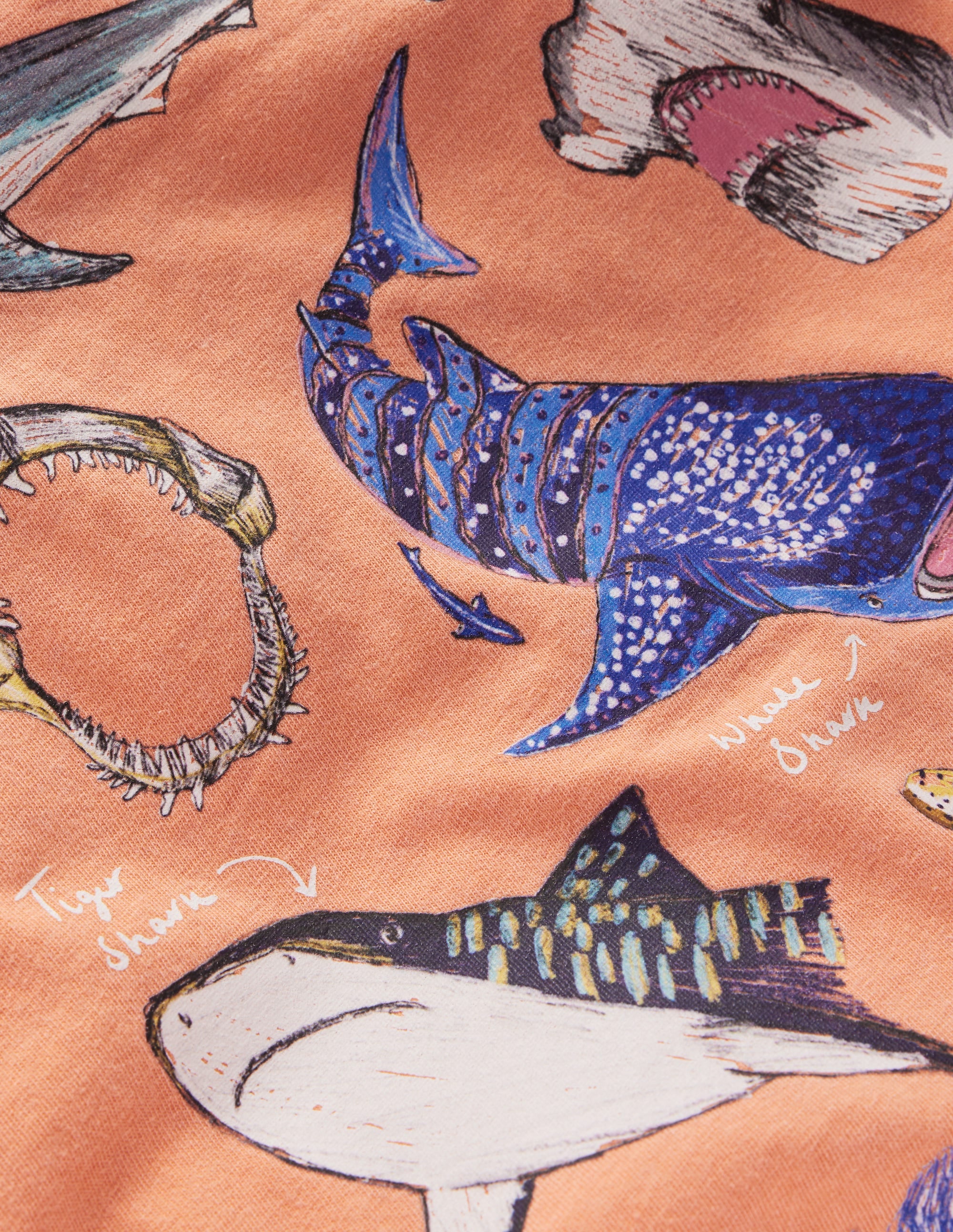 Educational T-shirt-ORANGE SHARKS - Image 3