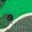 Front and Back Glow T-shirt-Bottle Green, Lizard X-Rray