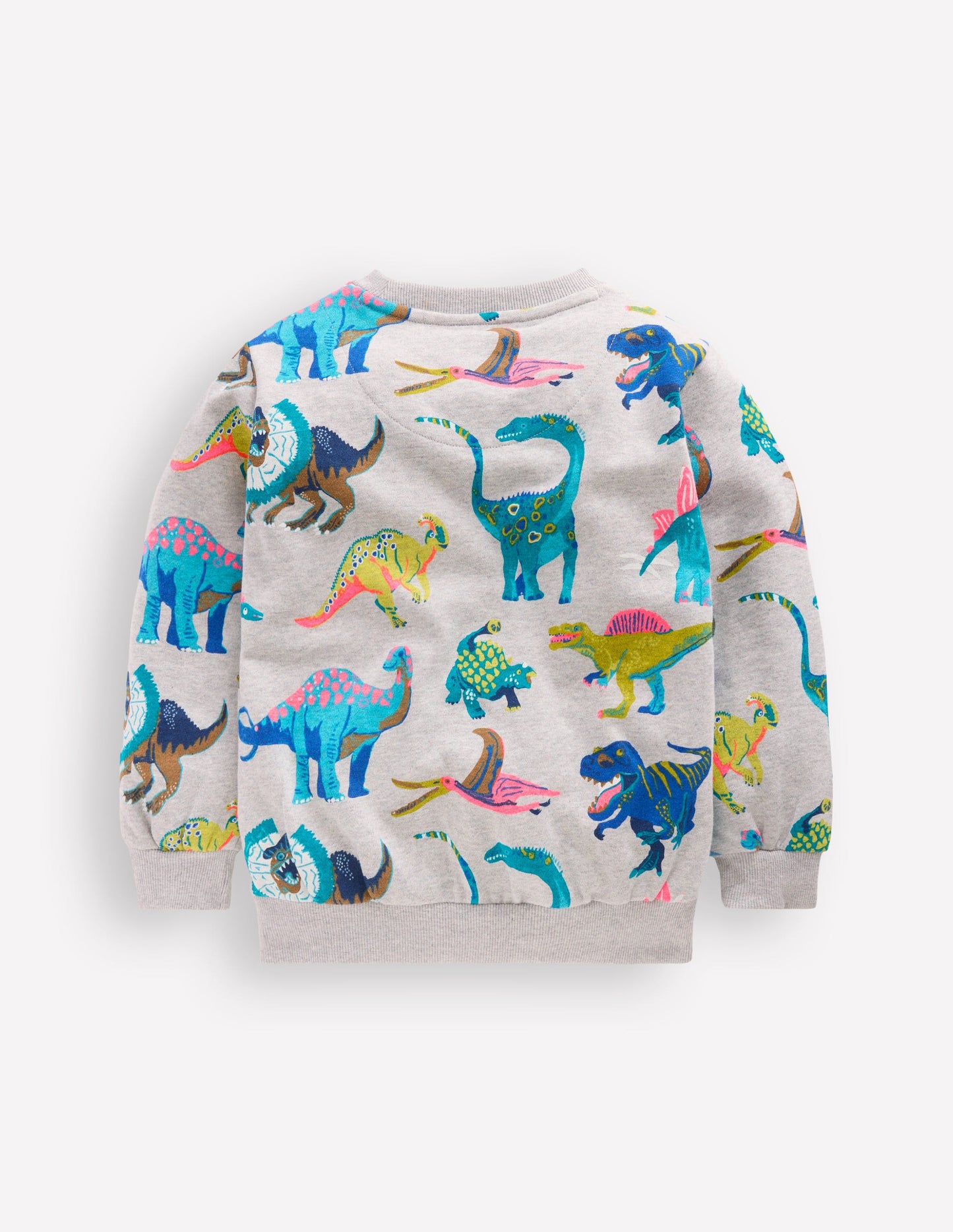 Everyday Printed Sweatshirt-Grey Dinos