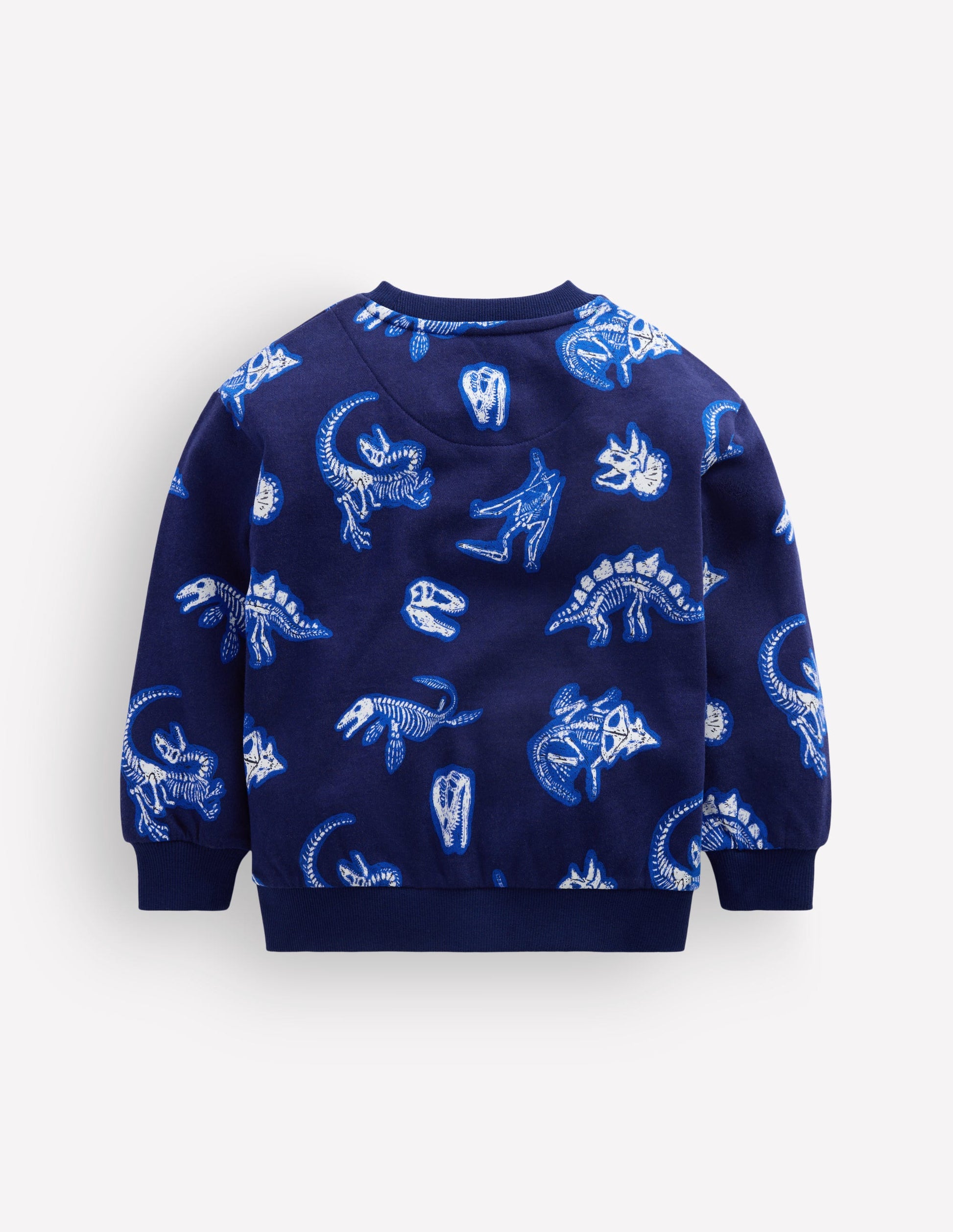 Glow Printed Sweatshirt-College Navy Dino-2