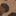 Printed Collared Zip-through-Milk Chocolate Brown Leopard