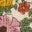 Fleece Lined Zip-Through-Floral