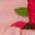 Pretty Woven Dress-Chalk Pink Strawberry Vine