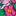 Capri Pants-Multi Summerflower Bed