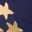 Joni Quilted Parka Coat-College Navy Foil Star