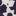 Frill Sleeve Slub Top-Navy Floral