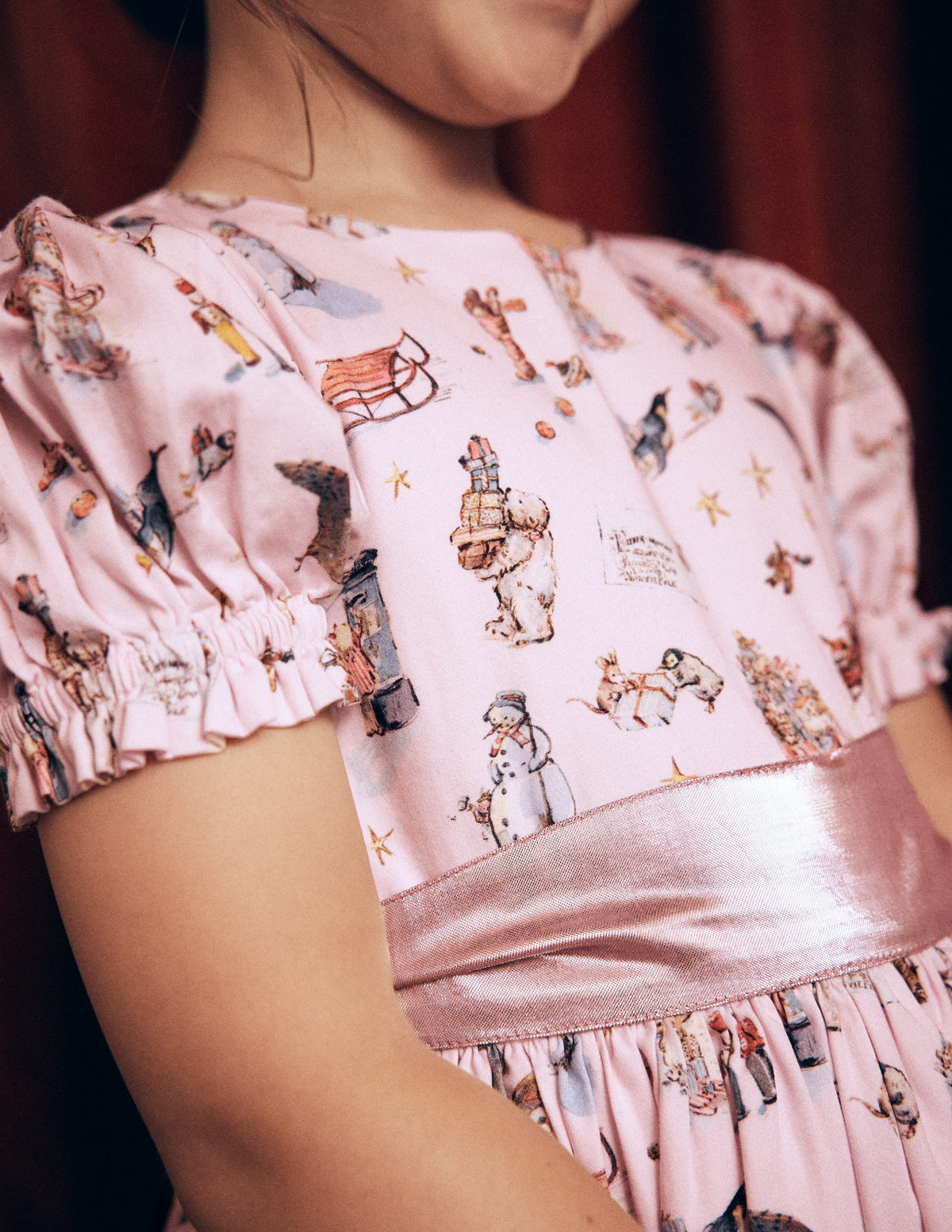 Aubrey Puff Sleeve Party Dress-Polar Post Print-5