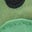 Shower Resistant Fisherman-Green Dinosaur