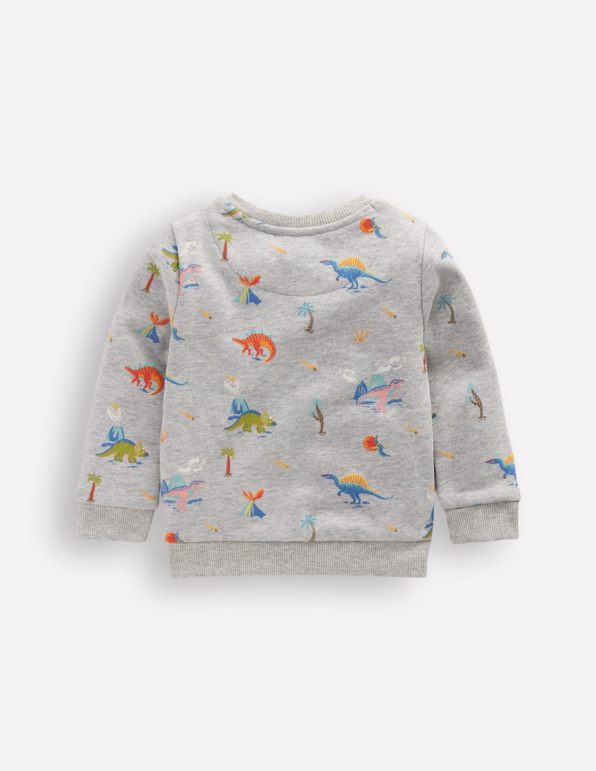 Printed Sweatshirt-Grey Marl Dinos-2