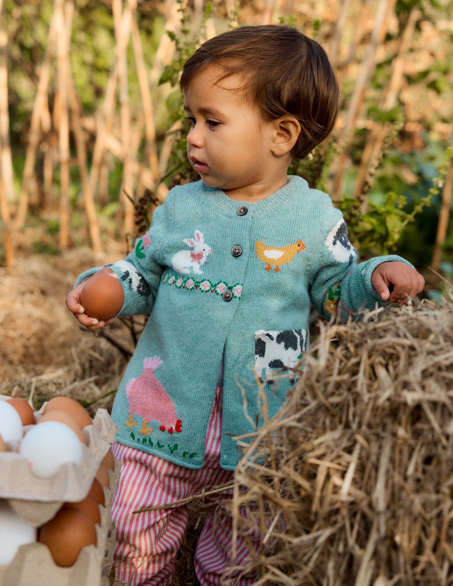 Fun Logo Cardigan-Georgian Blue Farm Yard