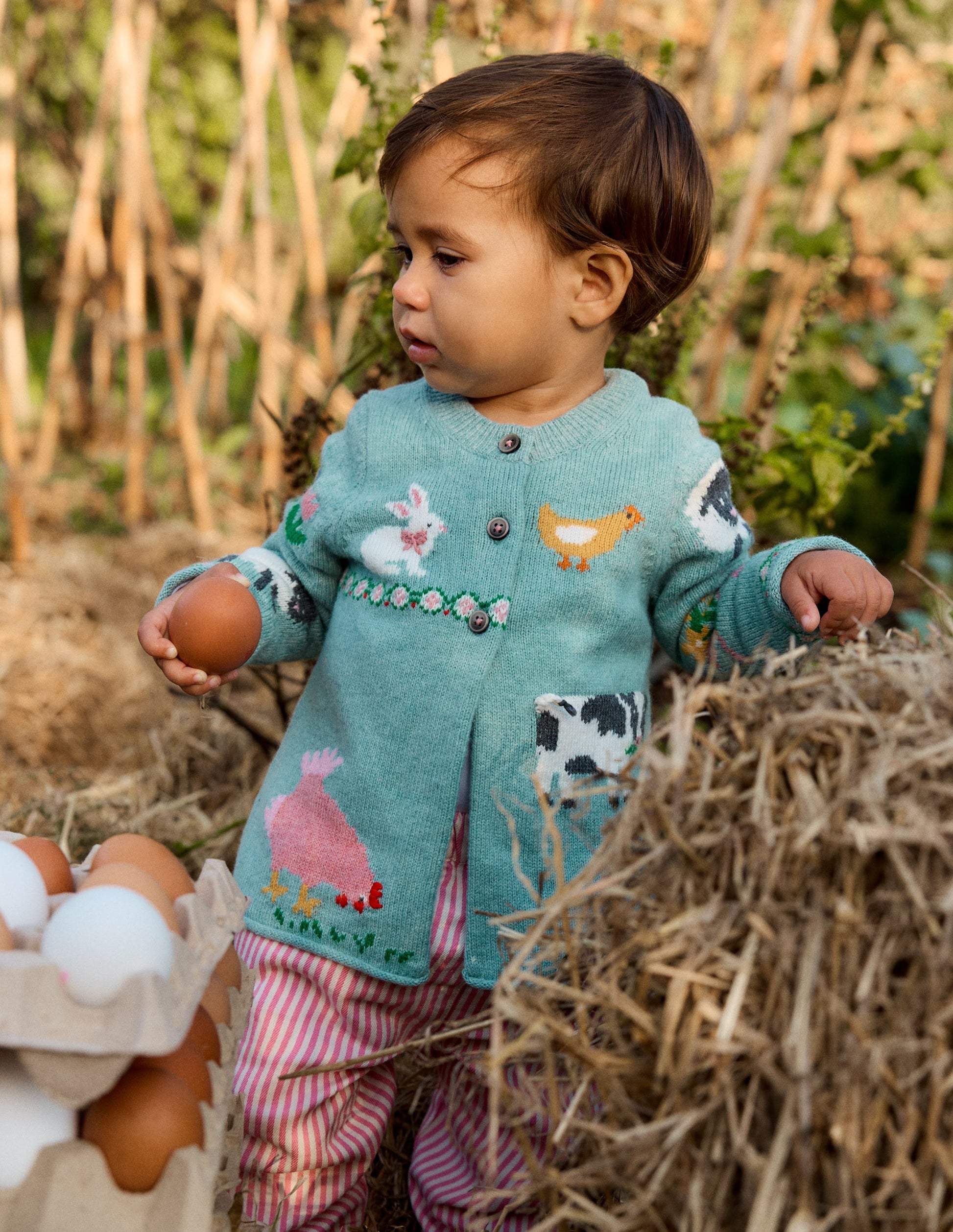 Fun Logo Cardigan-Georgian Blue Farm Yard-1