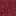 Double Ring Belt-Oxblood