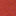 Open Collar Notch Neck-Burnt Orange