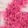 Collarless Wool Blend Blazer-Pink Dogstooth