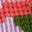 Embroidered Trim Interest Top-Purple Stripe Embroidery