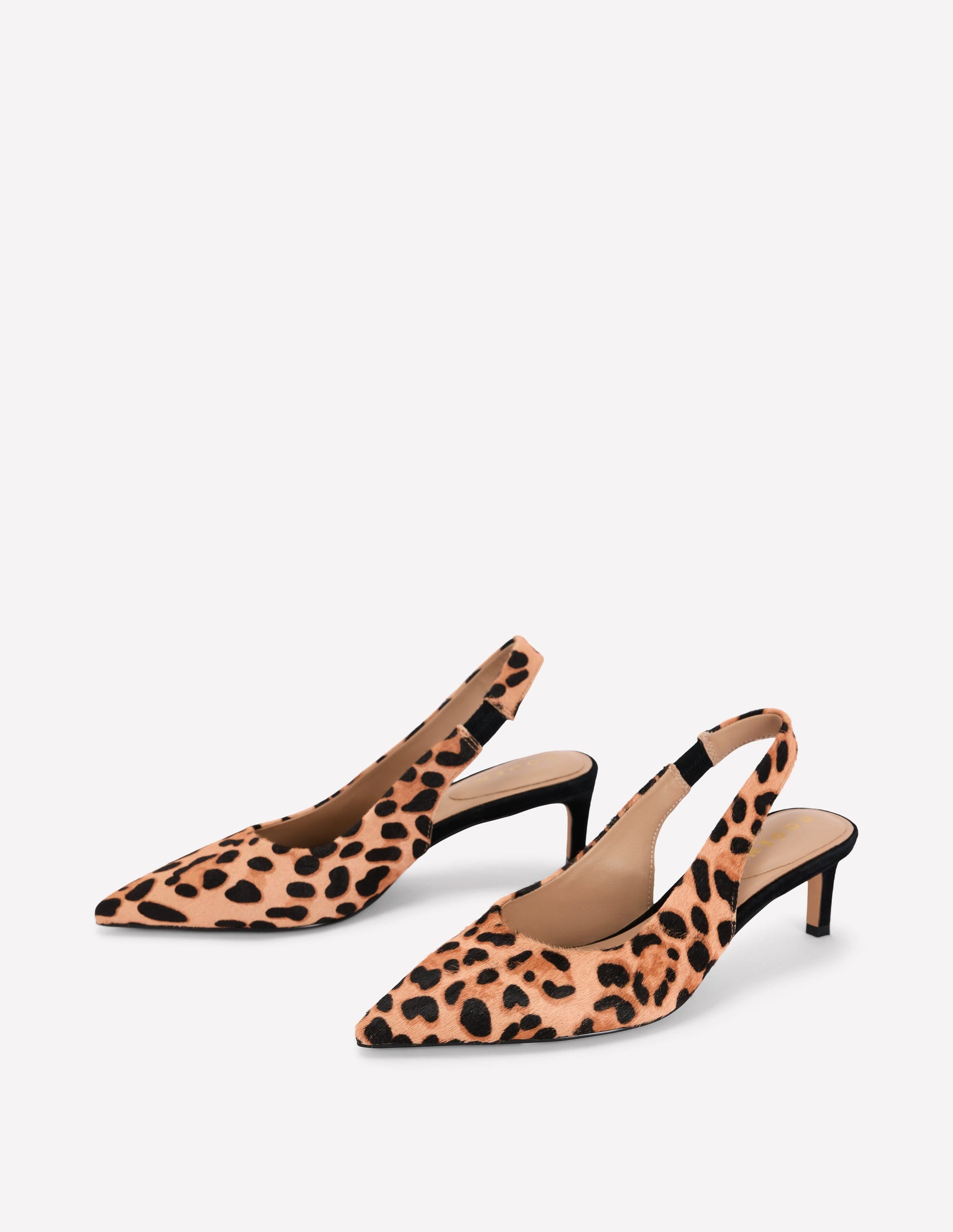 Hope Pointed Slingback Heels-Classic Leopard-3