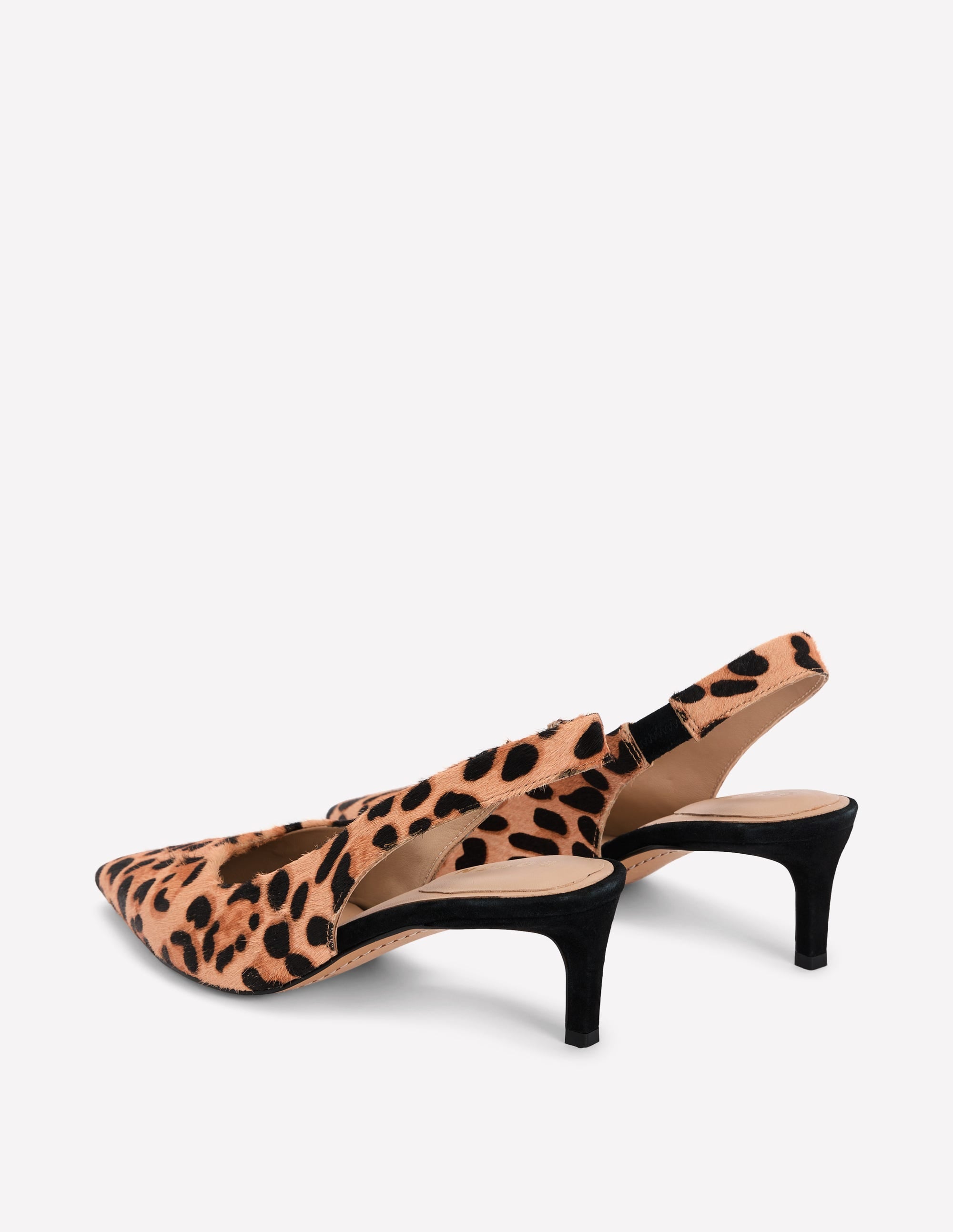 Hope Pointed Slingback Heels-Classic Leopard - Image 5
