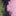 Kat Brushed Cashmere Sweater-Navy, Pink, Green Argyle