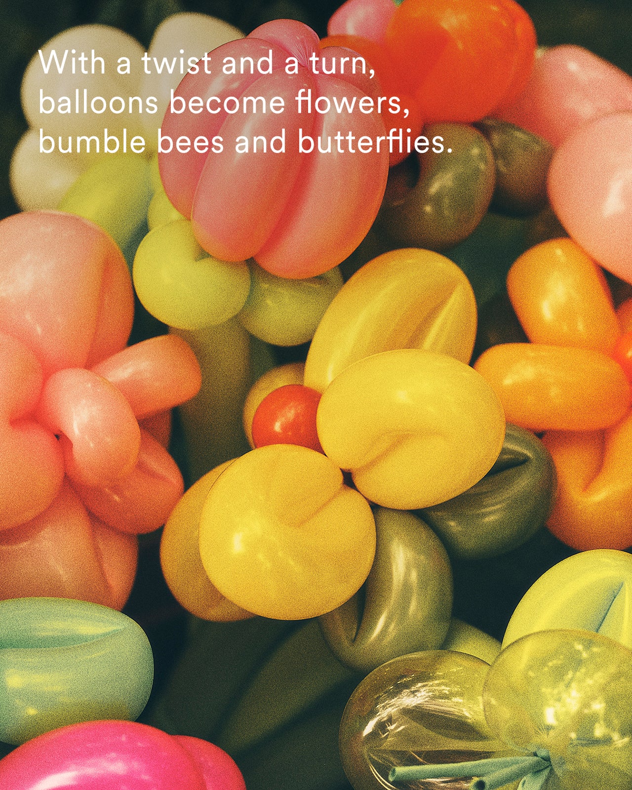 A close-up arrangement of colorful balloon sculptures shaped like flowers, with overlaid text reading, 'With a twist and a turn, balloons become flowers, bumble bees and butterflies.'.