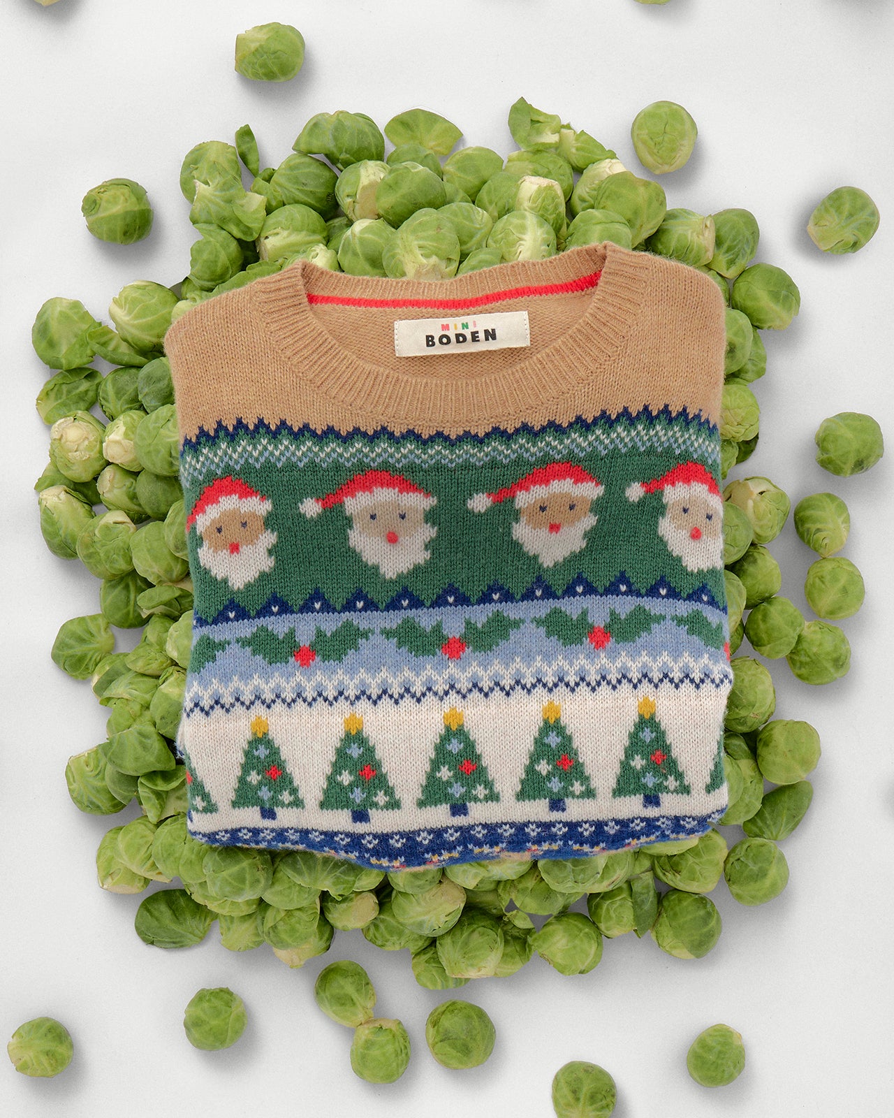 Children's sweater with Christmas pattern on a bed of green peas