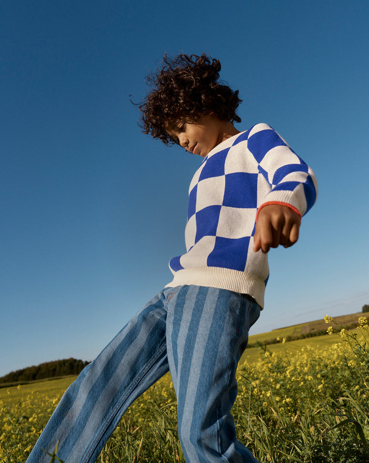 Person wearing a blue and white checkered sweater in a field with a clear blue sky.