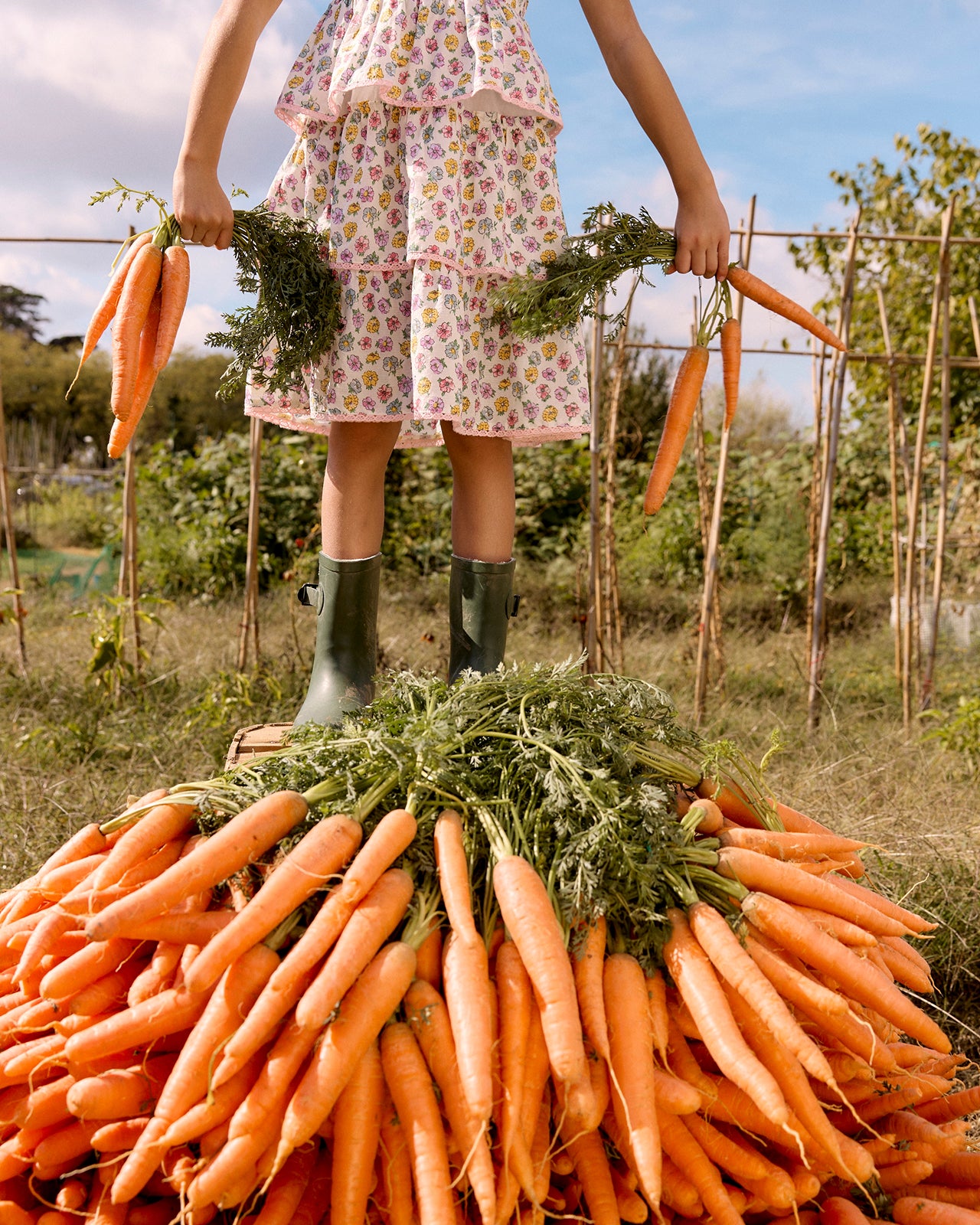 Person holding carrots in a garden with a pile of carrots in the foreground