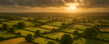 Sunset over a countryside landscape with fields and trees.