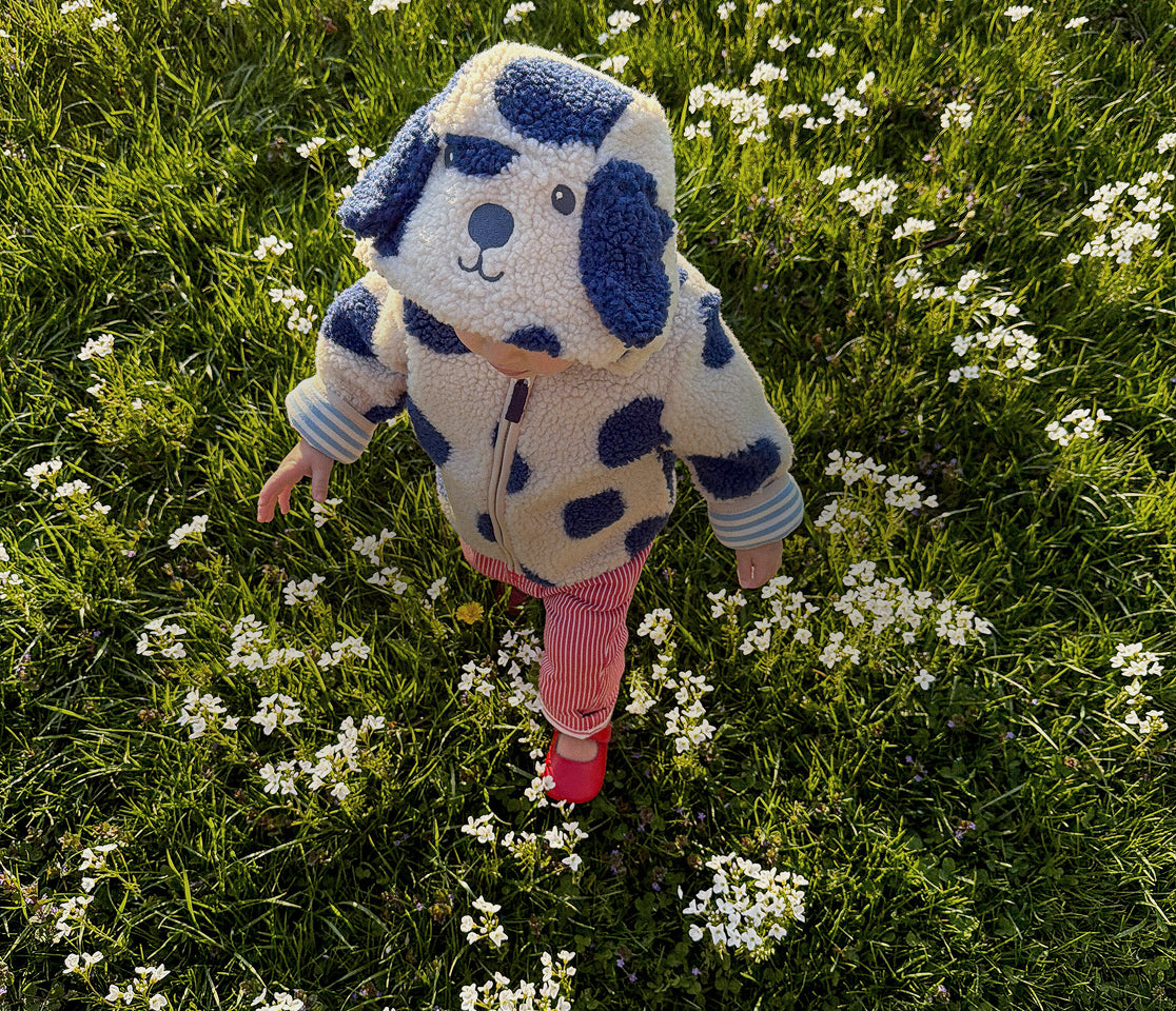 Child in a cow costume standing in a field of flowers